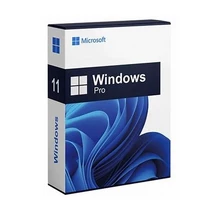 Windows 11 Professional