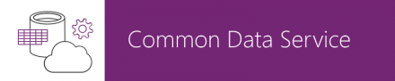 Microsoft Common Data Service for Apps File Capacity subscription license 1 GB capacity